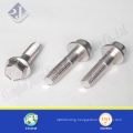 Stainless Steel 304 Hex Flange Screw